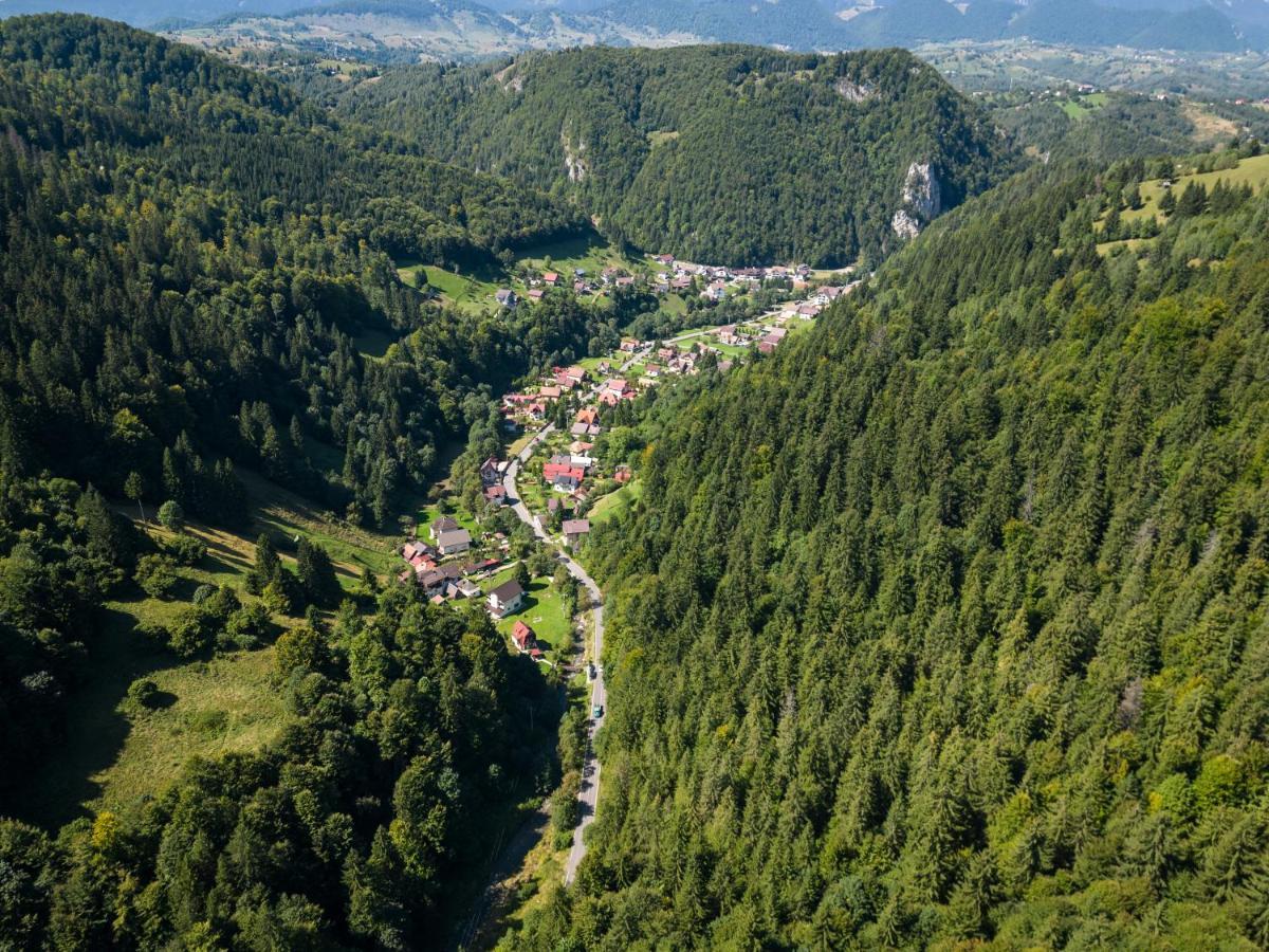 Oasis Mountain Villa Brasov