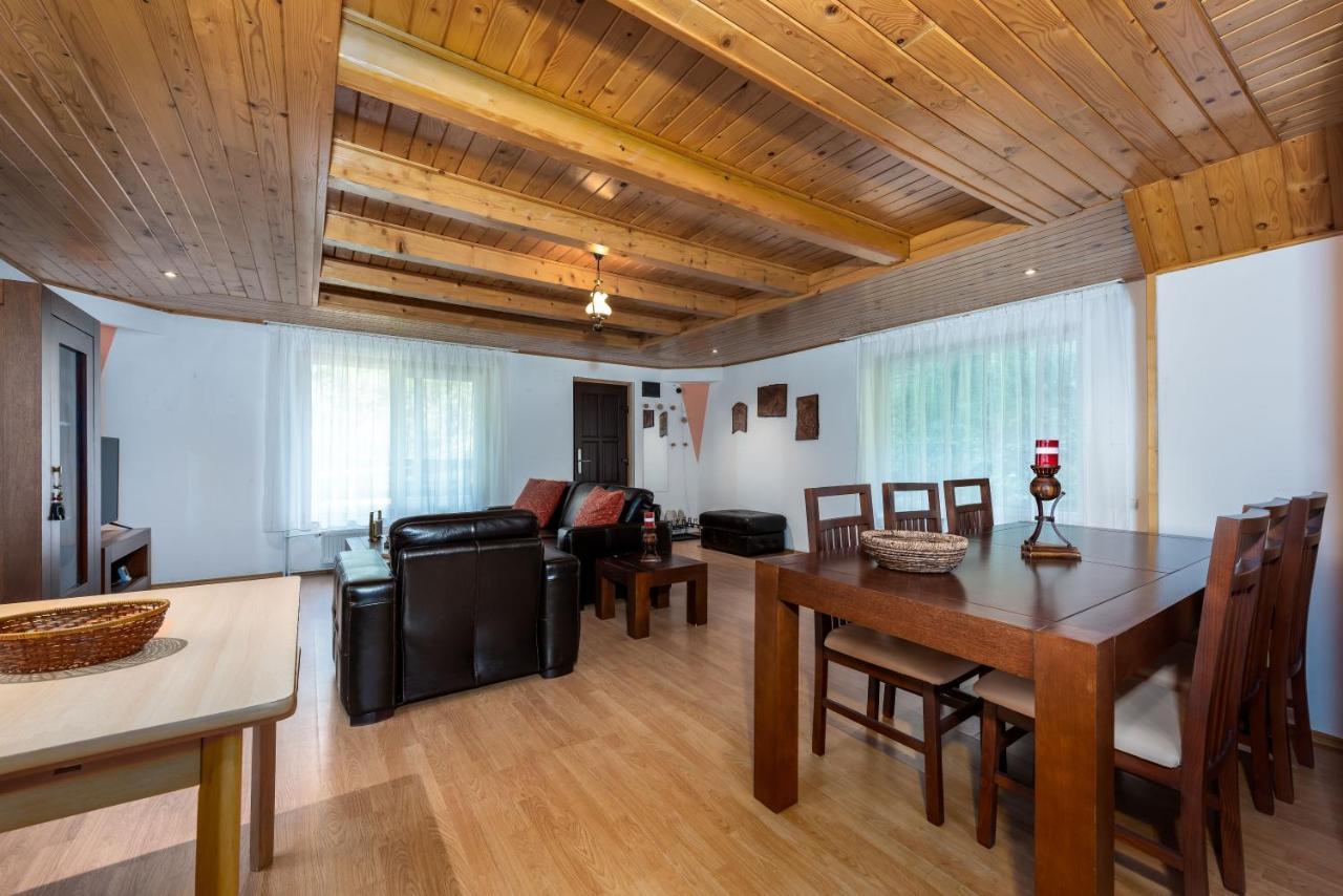 Villa Oasis Mountain Brașov