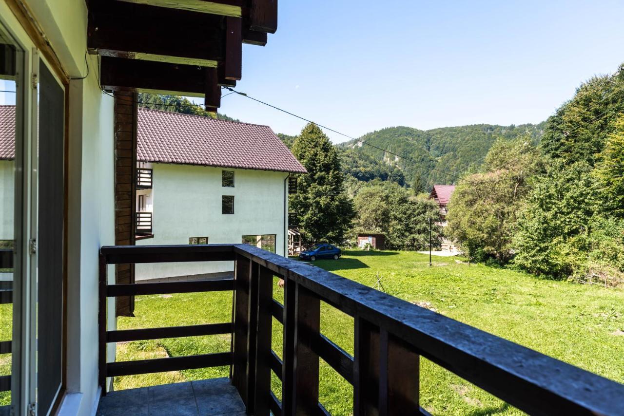 Oasis Mountain Brașov