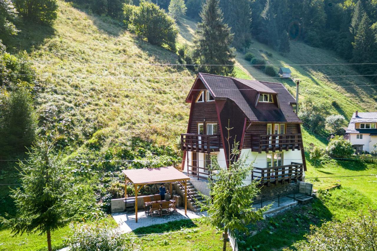 Oasis Mountain Brașov