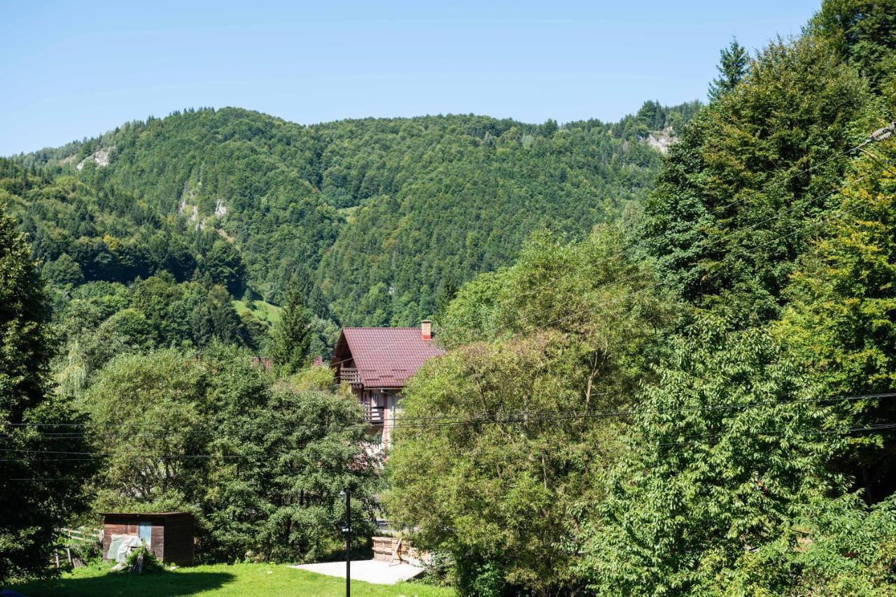 Oasis Mountain